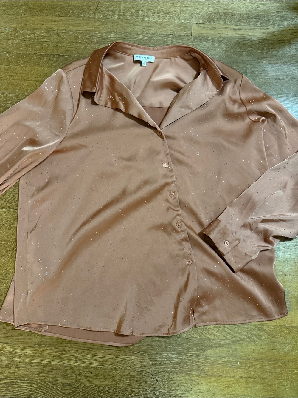 Skies Are Blue Rust Satin Button-Down Shirt with Subtle Sparkle